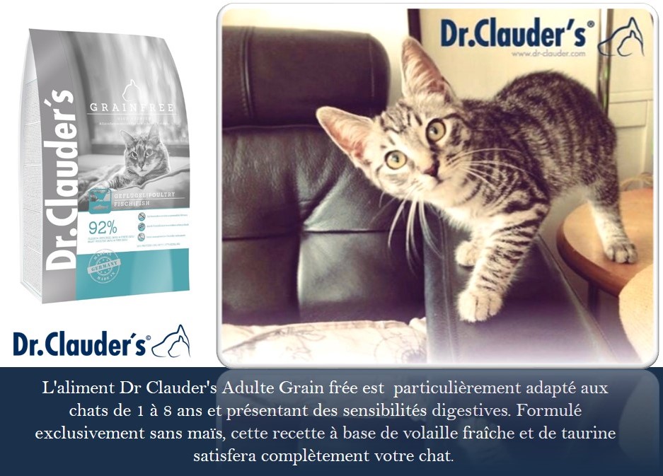 croquette chat sans céréales pas cher croquettes chat sans céréales grande surface croquettes chat sans céréales françaises croquettes chat sans céréales royal canin croquettes chat sans céréales bio croquettes chat sans céréales purina croquettes chat sans céréales maxi zoo meilleures croquettes chat animalerie en ligne beloccasion maroc