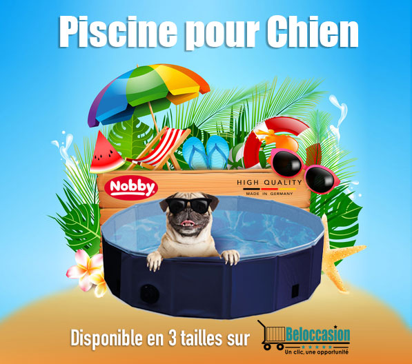 Balles de tennis pour chien Vadigran - disponible 3 tailles