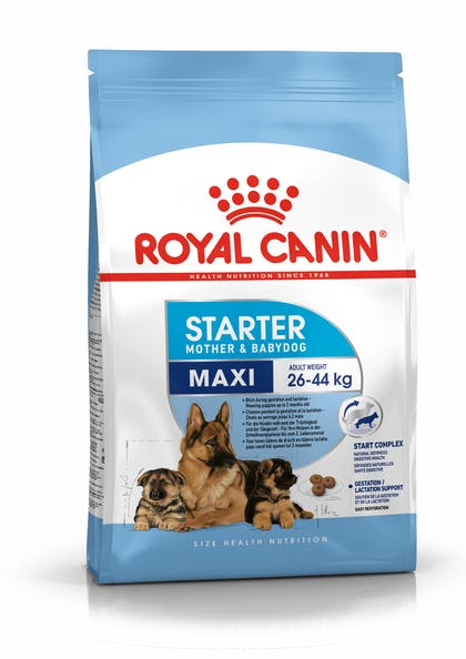 Croquettes Royal Canin Maxi Starter pour chiot et chienne