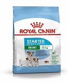Croquettes Royal Canin Mini Starter pour chiot et chienne
