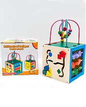 Jouet Educatif Cube - Boite Magic en bois 5 en 1 - Montessori