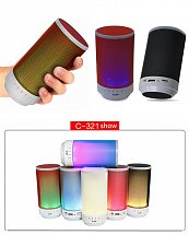 Haut Parleur Bluetooth Portable C321