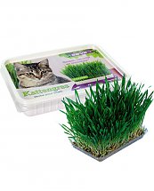 Herbe a chat 120 gr - Vadigran