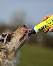 Snack d'entraînement Multivitamines Work Out pour Chien - Dr Clauder's