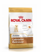 Croquettes Royal Canin Labrador Retriever Junior 12kg