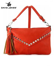 Pochette DAVID JONES Rouge