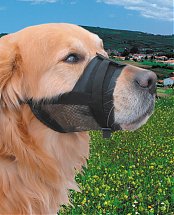 1569518990-muselie-re-petit-chien-small-muselie-re-chien-maroc-muselie-re-chien-berger-allemand-muselie-re-chien-malinois-muselie-re-chien-anti-aboiement-muselie-re-chien-beloccasion-animalerie-en-ligne.jpg