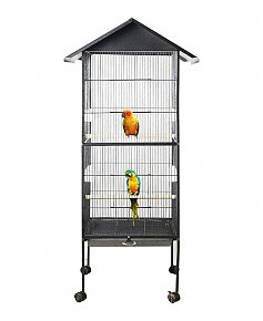 1611692314-cage-oiseau-maroc-cage-oiseau-maroc-jumia-perchoir-perroquet-maroc-produit-oiseaux-maroc-voliere-oiseaux-a-vendre-prix-oiseaux-maroc-cage-perroquet-cage-a-vendre-maroc-beloccasion.jpg