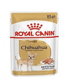 1659091900-breed-18-chihuahua-n-pouch-85.jpeg