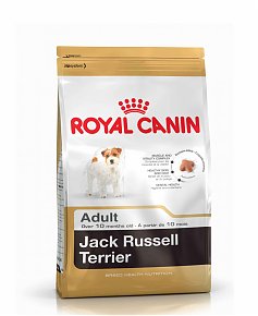 jack-russel-nourriture-chien-croquette-beloccasion-digestion-sensible-chien-probleme-d_estomac-corquette-beloccacion-site-vente--aliment-chien-makla-dyal-laklab-croquette-chien-corquette-chiot-sensitive-sensible-digestion-royal-caninnutrition.jpg